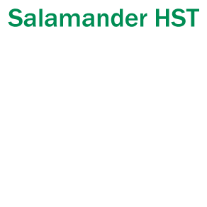 Salamander HST name